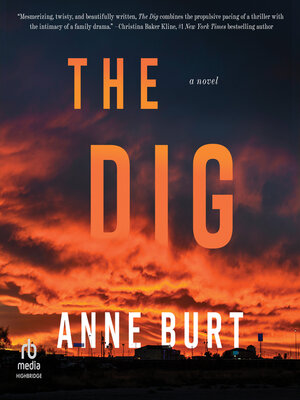 cover image of The Dig